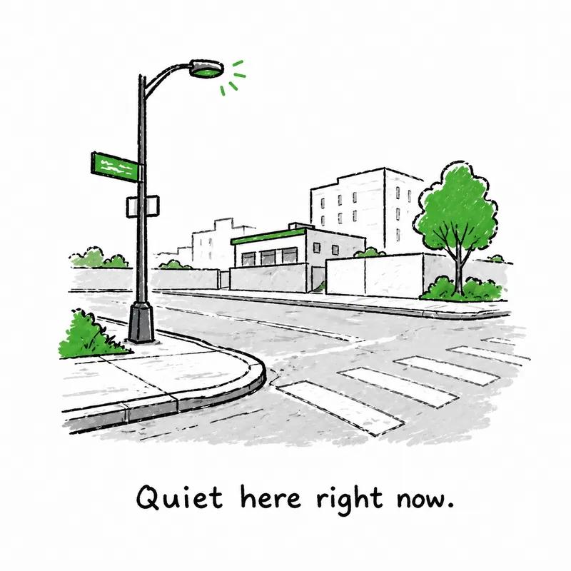A quiet, empty street corner with a streetlight and crosswalk.